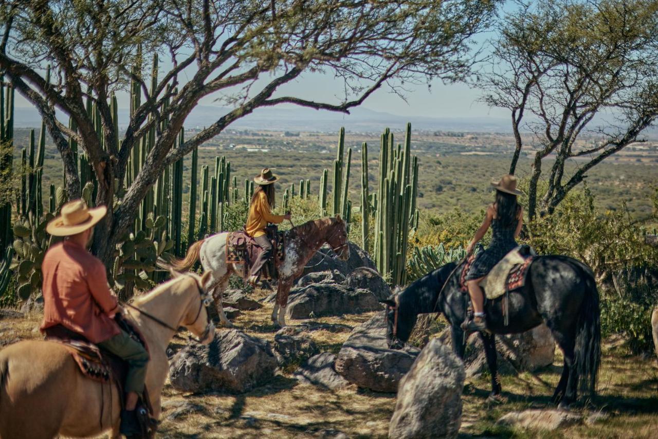 Our Habitas San Miguel De Allende Buitenkant foto