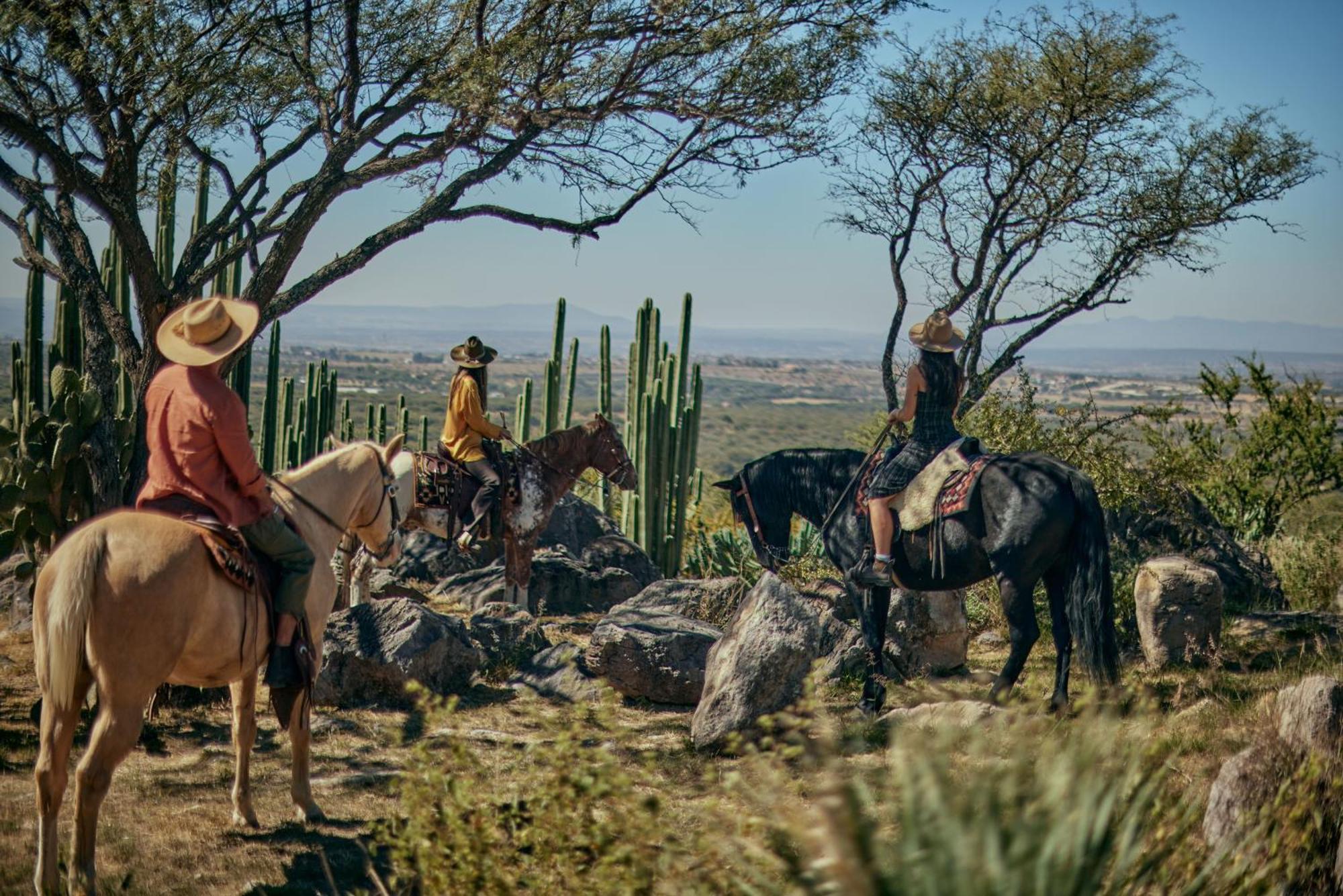 Our Habitas San Miguel De Allende Buitenkant foto